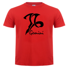 футболка Gemini